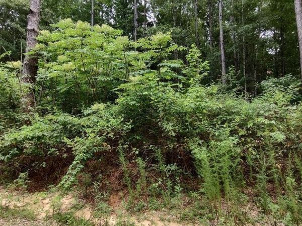 0 Lakeshore Dr., Lumberton, MS 39455