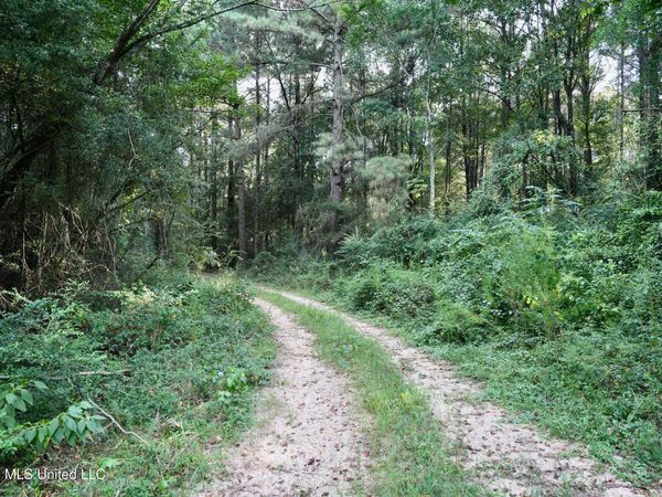 County Road 16 , Louin, MS 39338