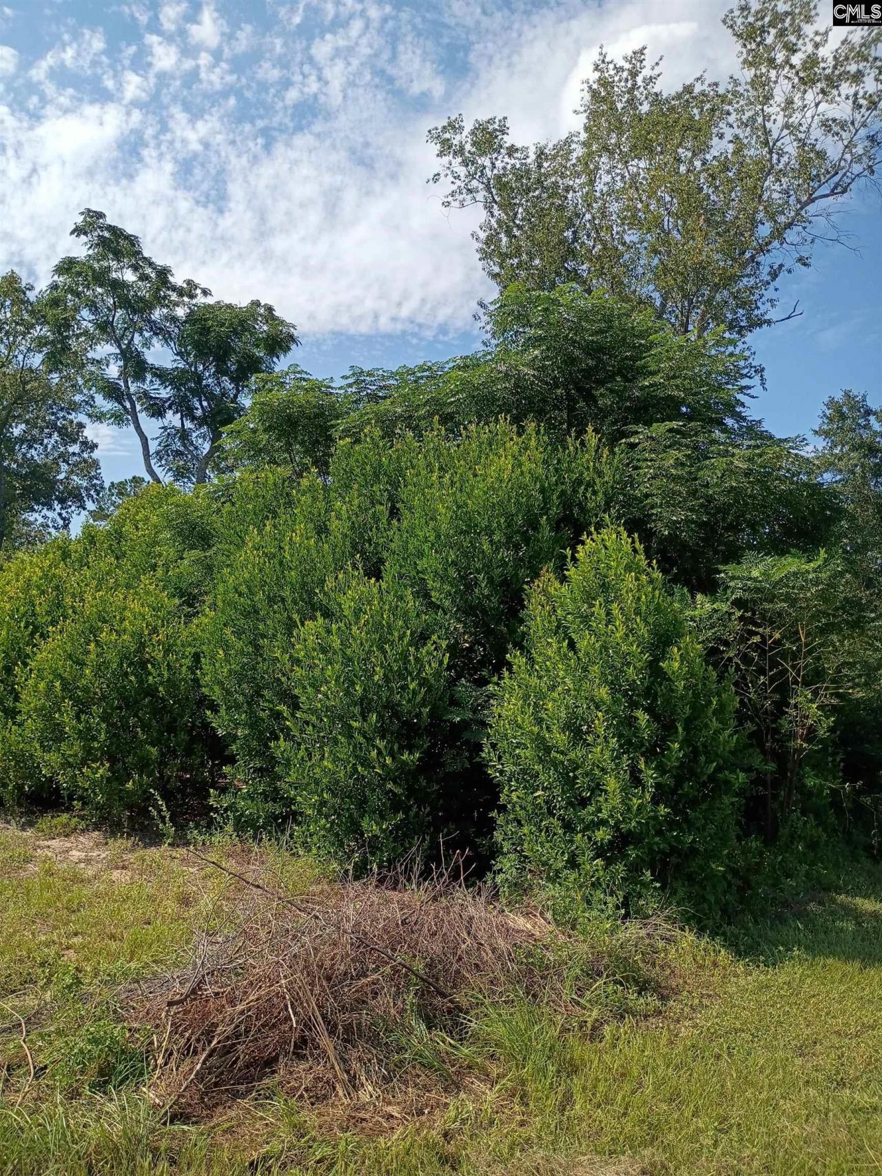 115 Mt. Calvary Road Photo 6