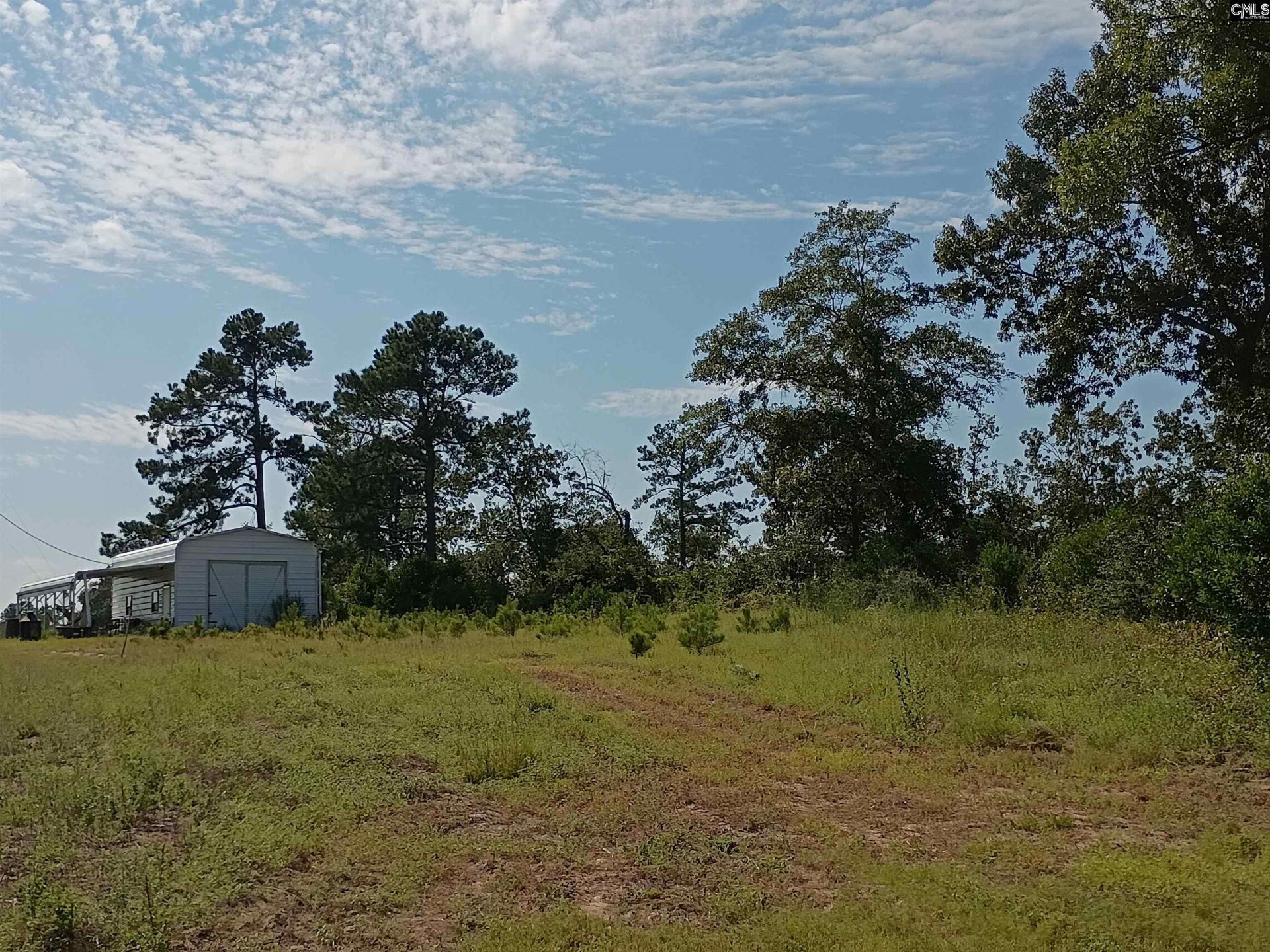 115 Mt. Calvary Road Photo 7