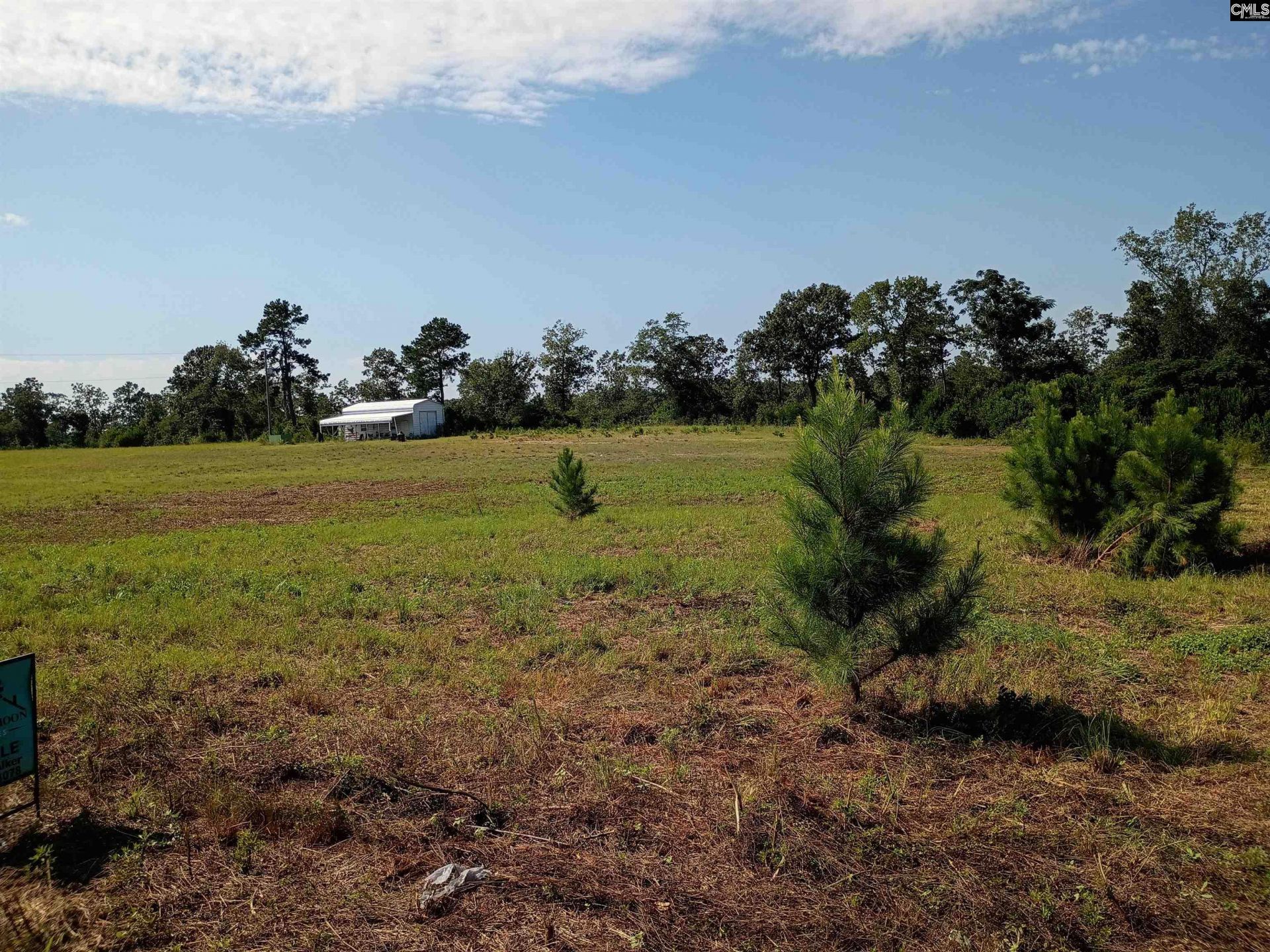 115 Mt. Calvary Road Photo 8