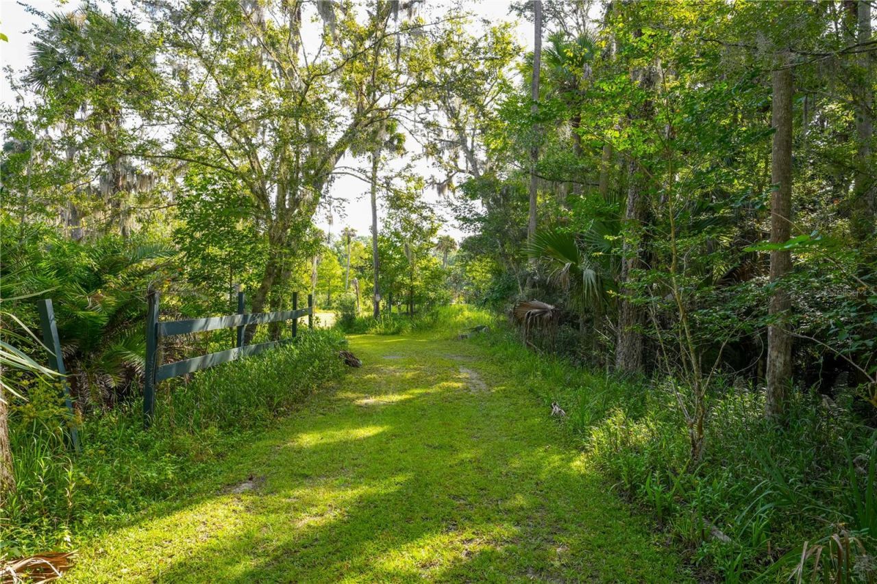 1879 Hideaway Lane, Edgewater, FL 32132 Photo
