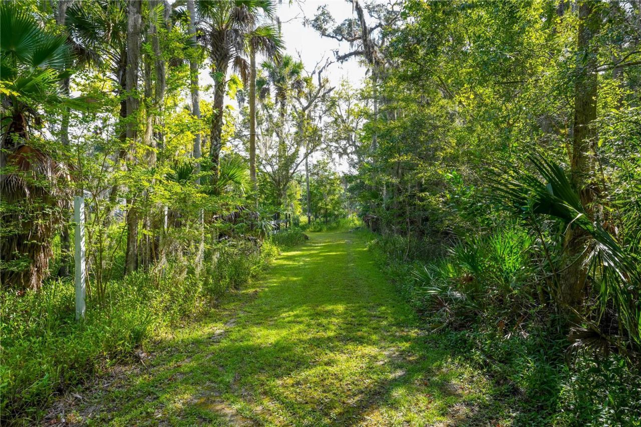 1879 Hideaway Lane, Edgewater, FL 32132 Photo