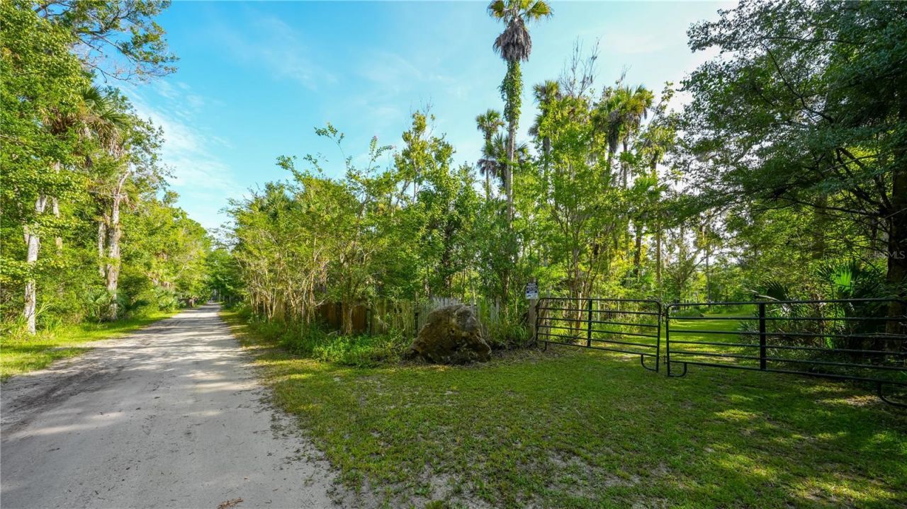 1879 Hideaway Lane, Edgewater, FL 32132 Photo