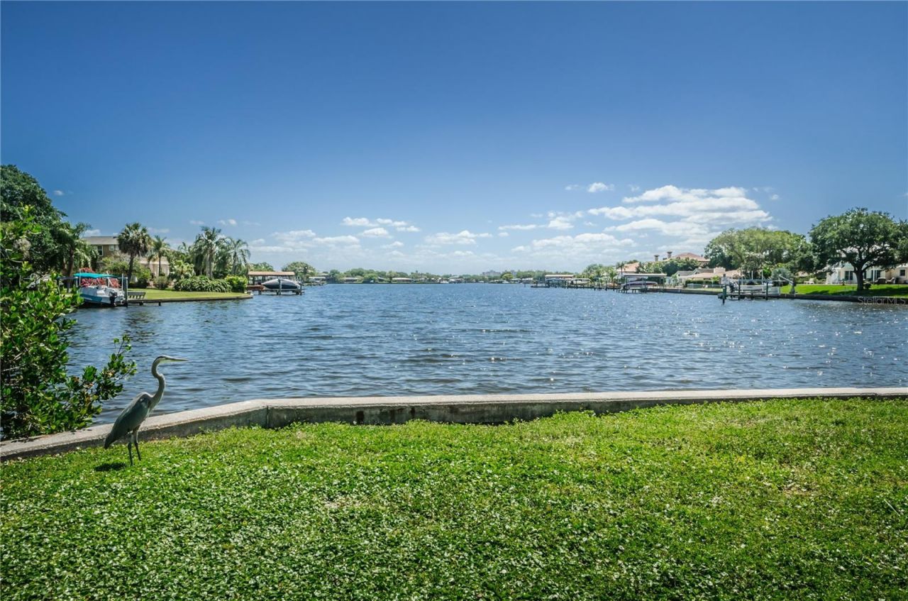 262 40 Avenue Ne, Saint Petersburg, FL 33703 Photo