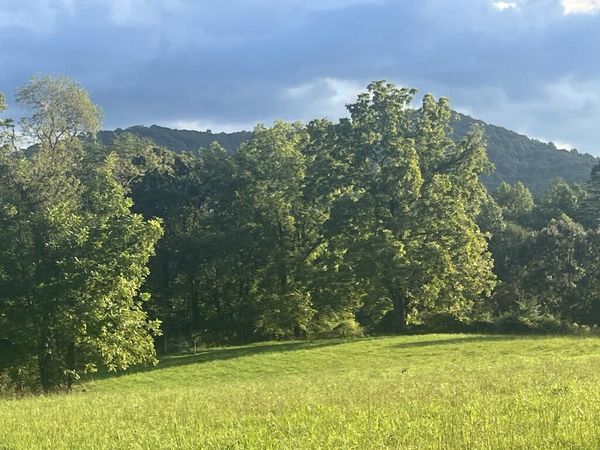 5.8 ac Lebanon Road, Blue Ridge, GA 30513