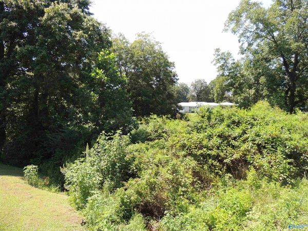 .51 Gaines Street, Crossville, AL 35962