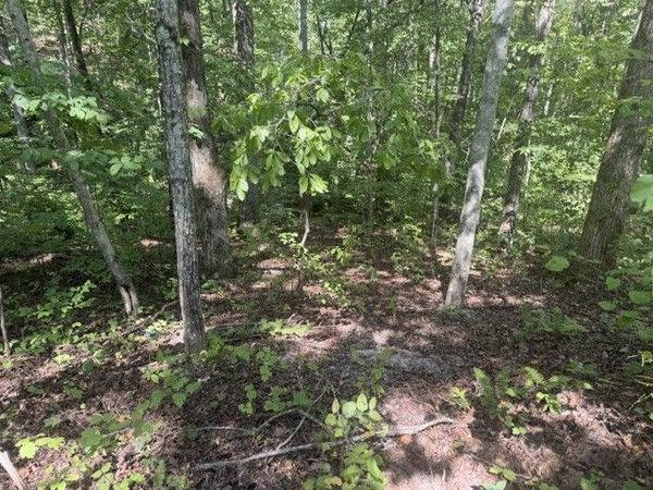 12 Skyline Dr , Smithville, TN 37166