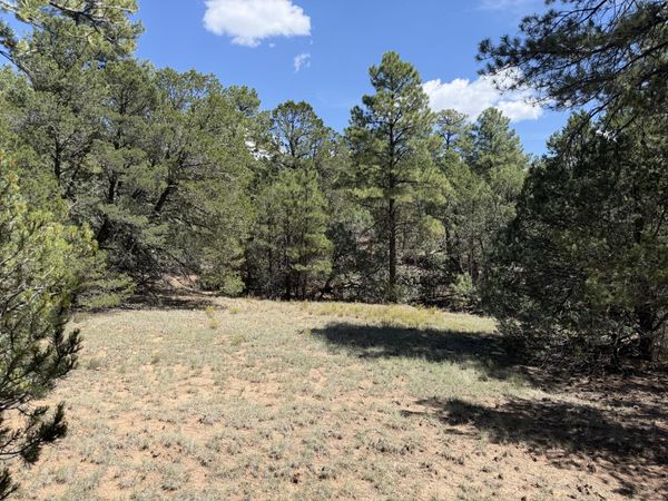 137 Raven Road , Tijeras, NM 87059