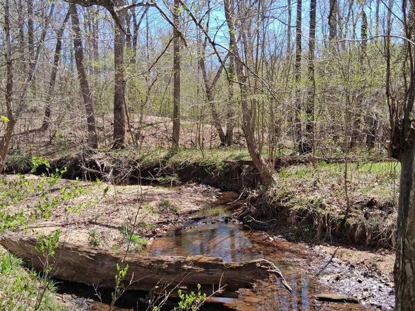 Lot 3 RIDGE RD, Palmyra, VA 22963