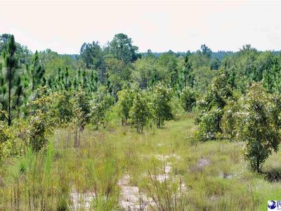 Wire Road 3, Patrick, SC 29584