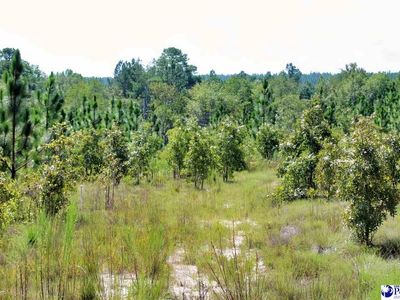 Wire Road 3, Patrick, SC 29584