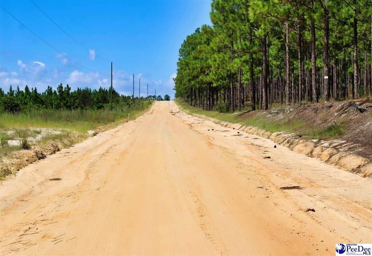 Wire Road 3 Photo 7