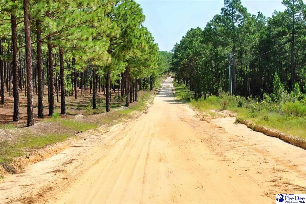Wire Road 3 Photo 8