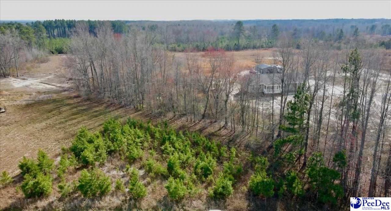 Lot B Lenson Mangum Rd Photo 4