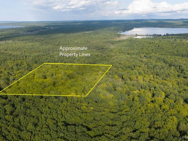 TBD 40 Acres Martin Road, Au Train Twp, MI 49806