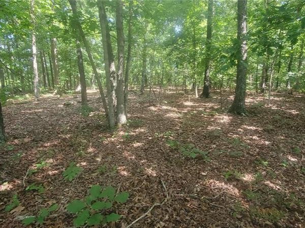 0000 Highway Y, Elk Creek, MO 65464