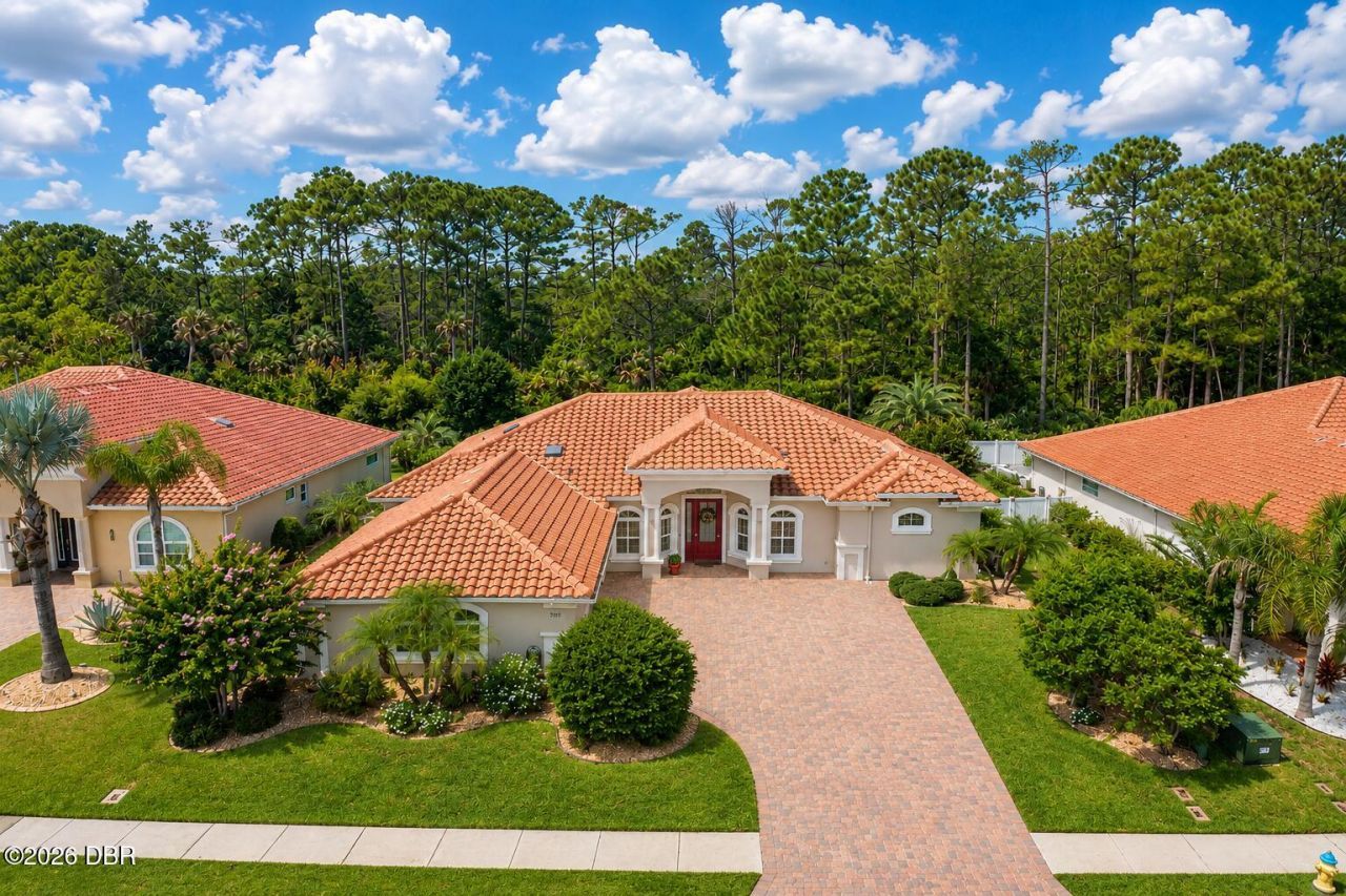 2817 S Asciano Court, New Smyrna Beach, FL 32168 Photo