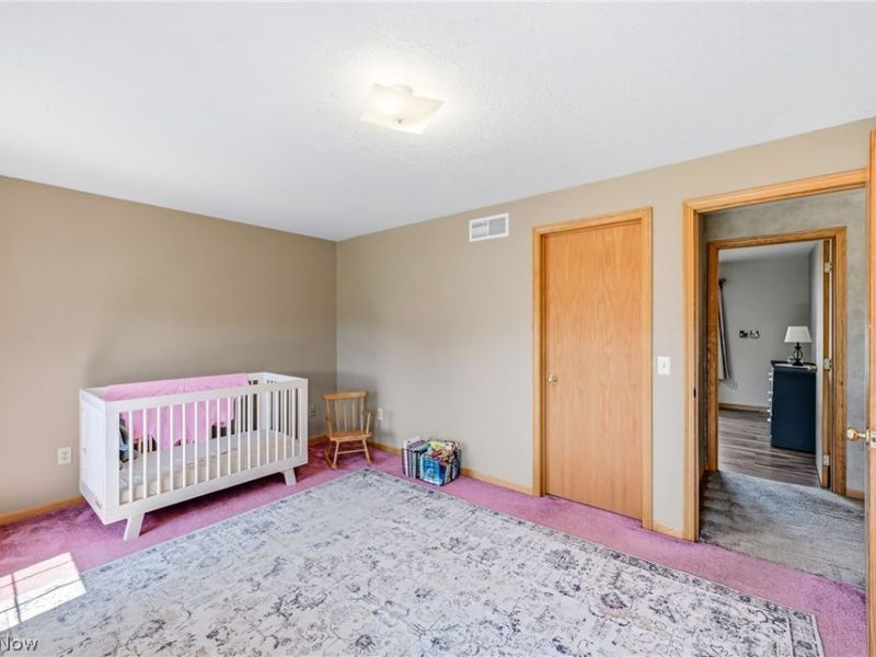 100 Laura Lane, Cortland, OH 44410 Photo 31