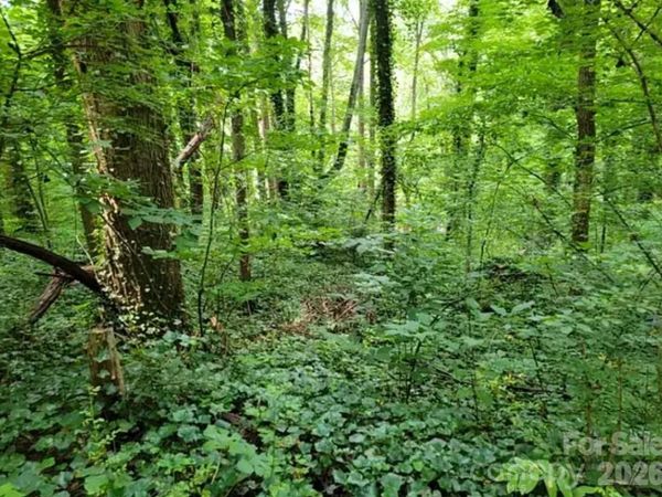 0 Rock Broad River Road , Hendersonville, NC 28792