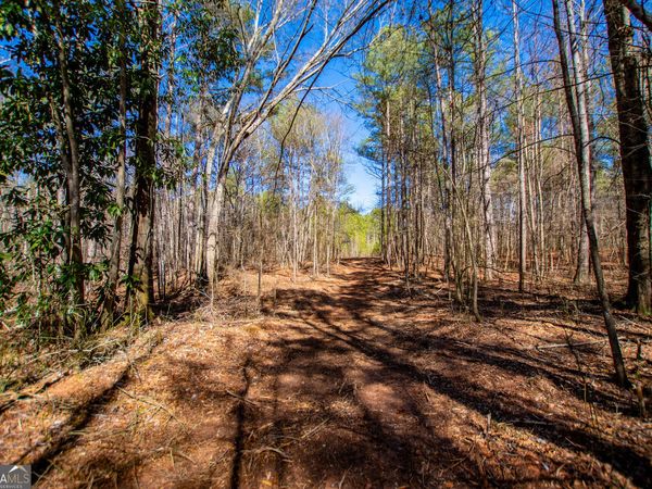 0 Hwy 166 E - 21+ acres E, Bowdon, GA 30108