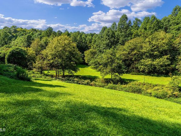 Tbd Bull Mtn Road, Del Rio, TN 37727