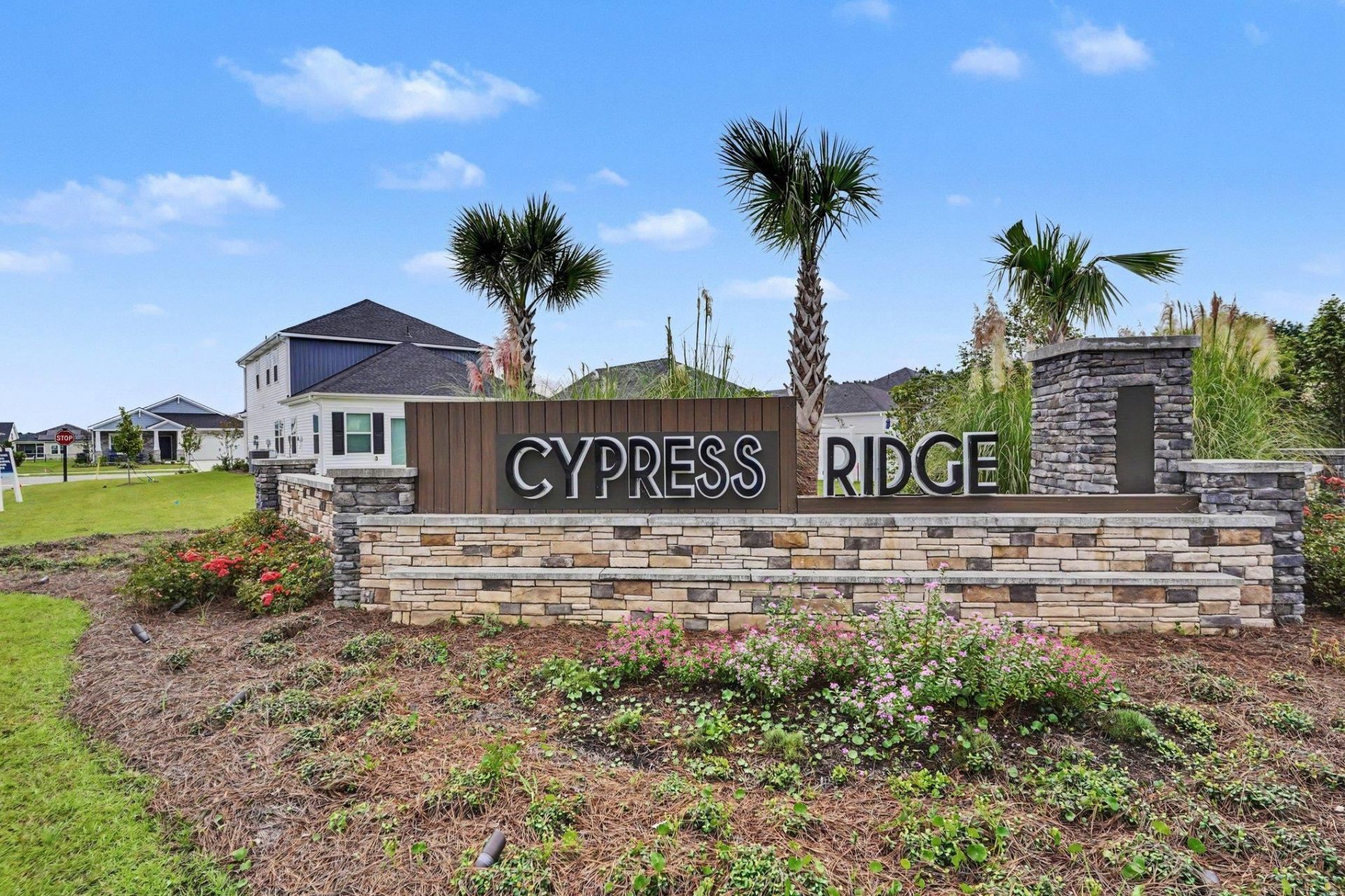 774 Cypress Preserve Circle  Photo 28
