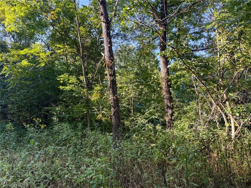 41298 Pleasant Ridge Rd, Graysville, OH 45734 Photo 10