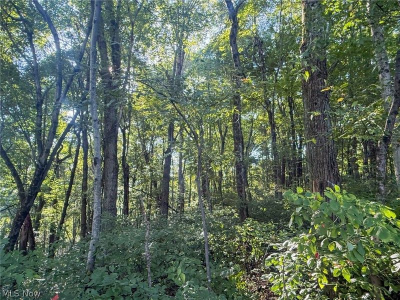 41298 Pleasant Ridge Rd, Graysville, OH 45734 Photo 13