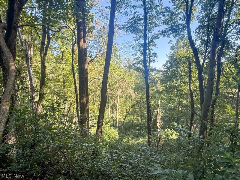 41298 Pleasant Ridge Rd, Graysville, OH 45734 Photo 14