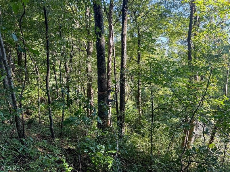 41298 Pleasant Ridge Rd, Graysville, OH 45734 Photo 15