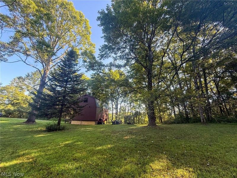 41298 Pleasant Ridge Rd, Graysville, OH 45734 Photo 9