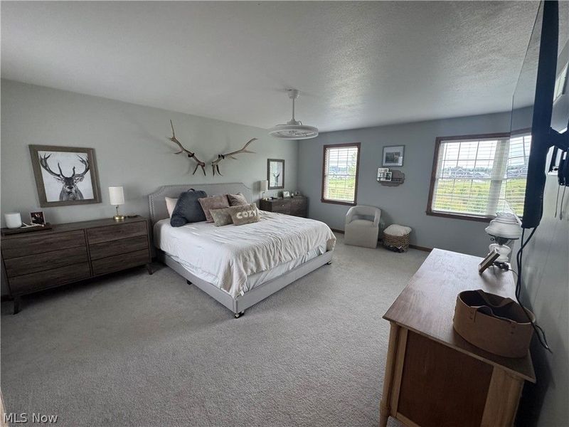 4201 W Candy Apple Court, New Middletown, OH 44442 Photo 11