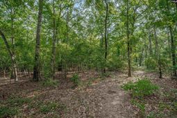 511 Swift Creek Road  photo 4