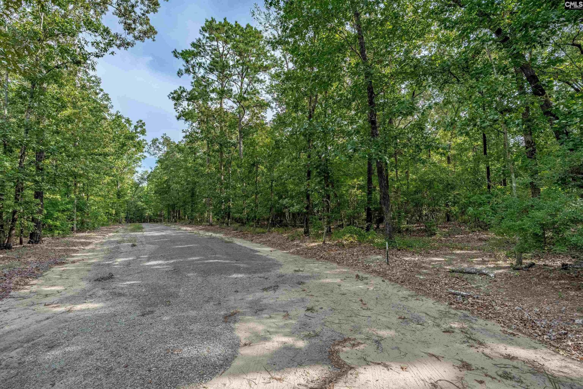 511 Swift Creek Road  Photo 5