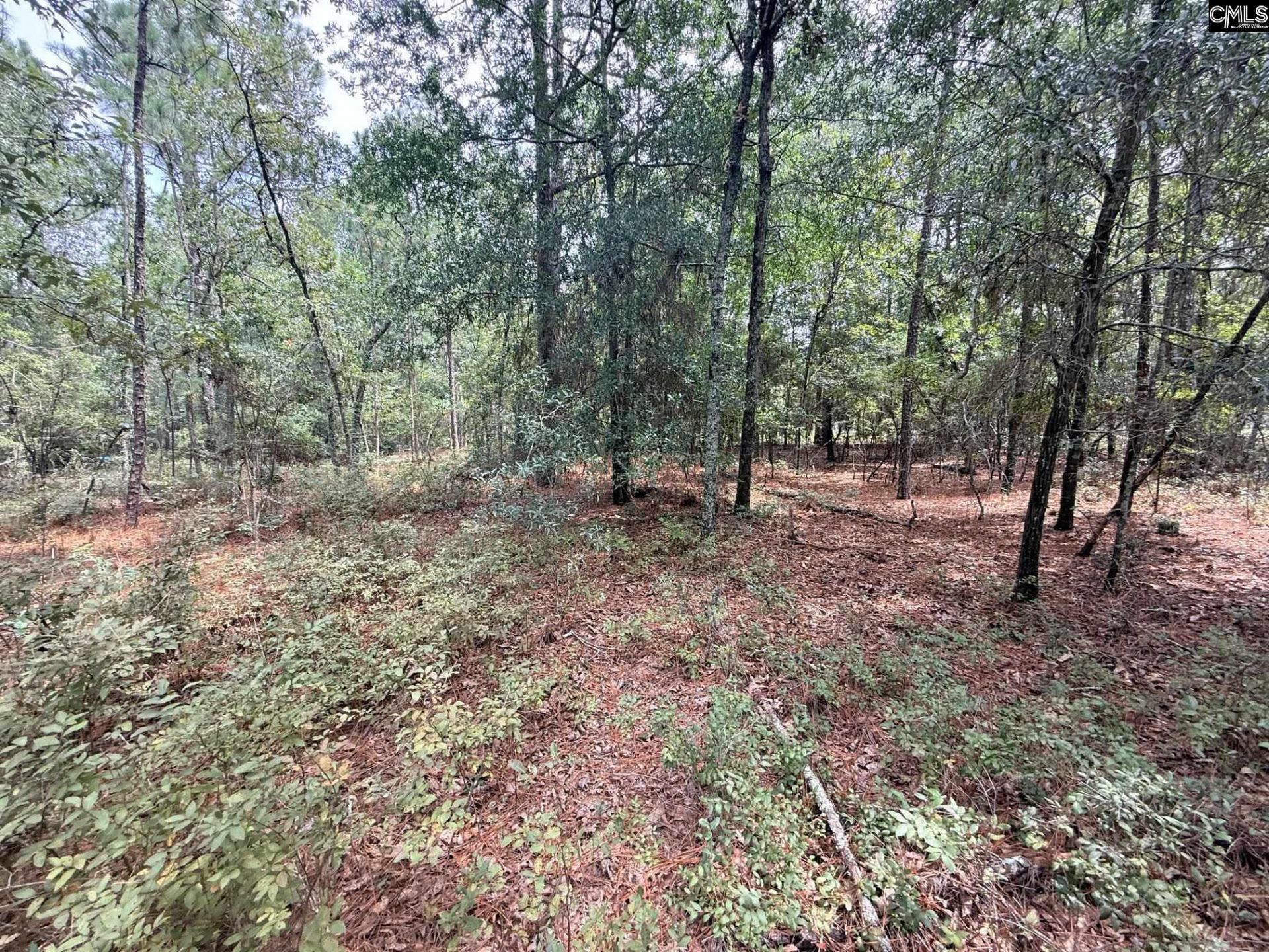 731 Edisto Lake Road  Photo 10