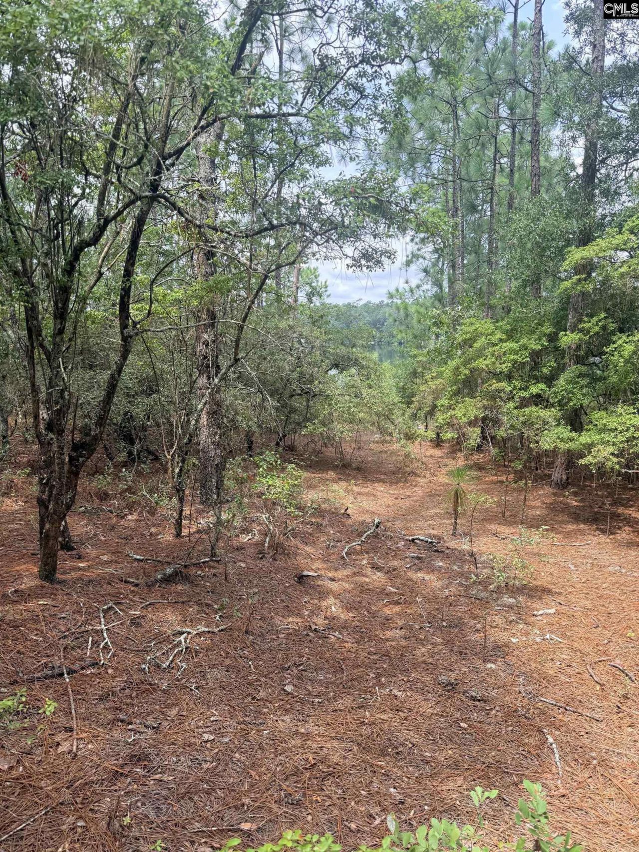 731 Edisto Lake Road  Photo 11