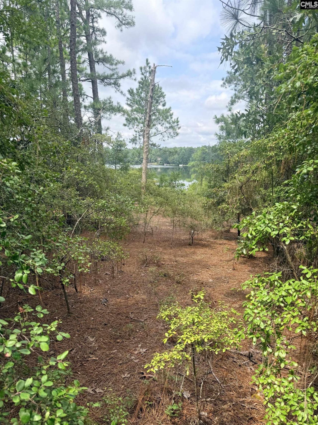 731 Edisto Lake Road  Photo 12