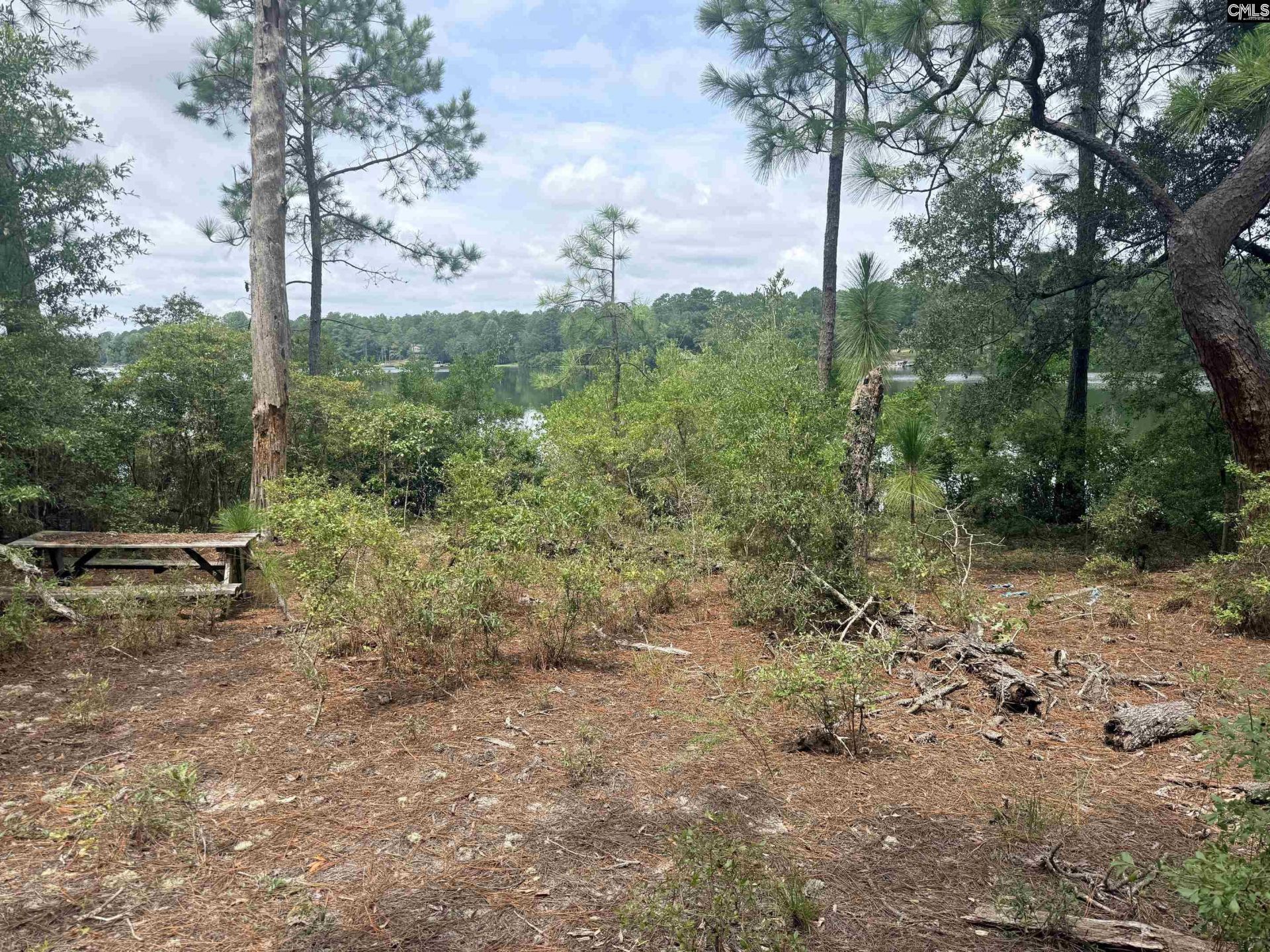 731 Edisto Lake Road  Photo 13