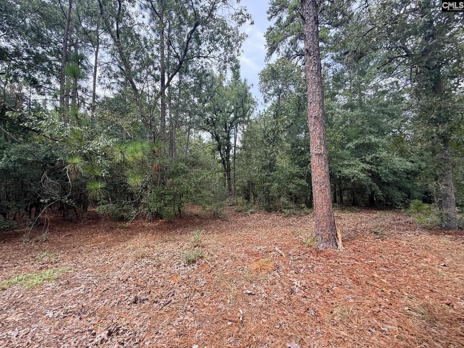 731 Edisto Lake Road  Photo 14