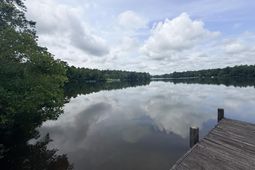 731 Edisto Lake Road  photo 4