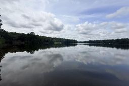 731 Edisto Lake Road  photo 4