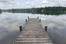 731 Edisto Lake Road  photo 4