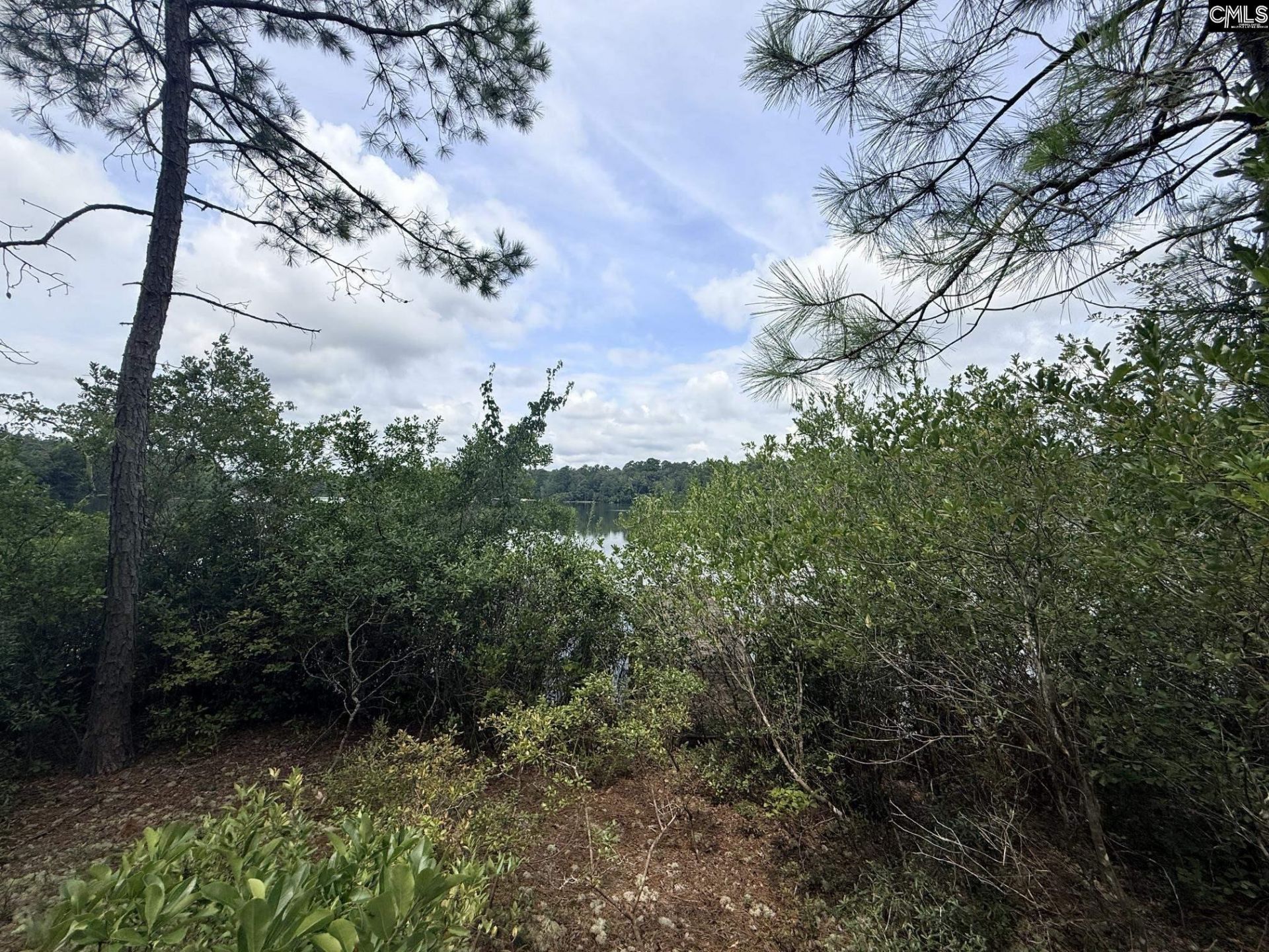 731 Edisto Lake Road  Photo 6