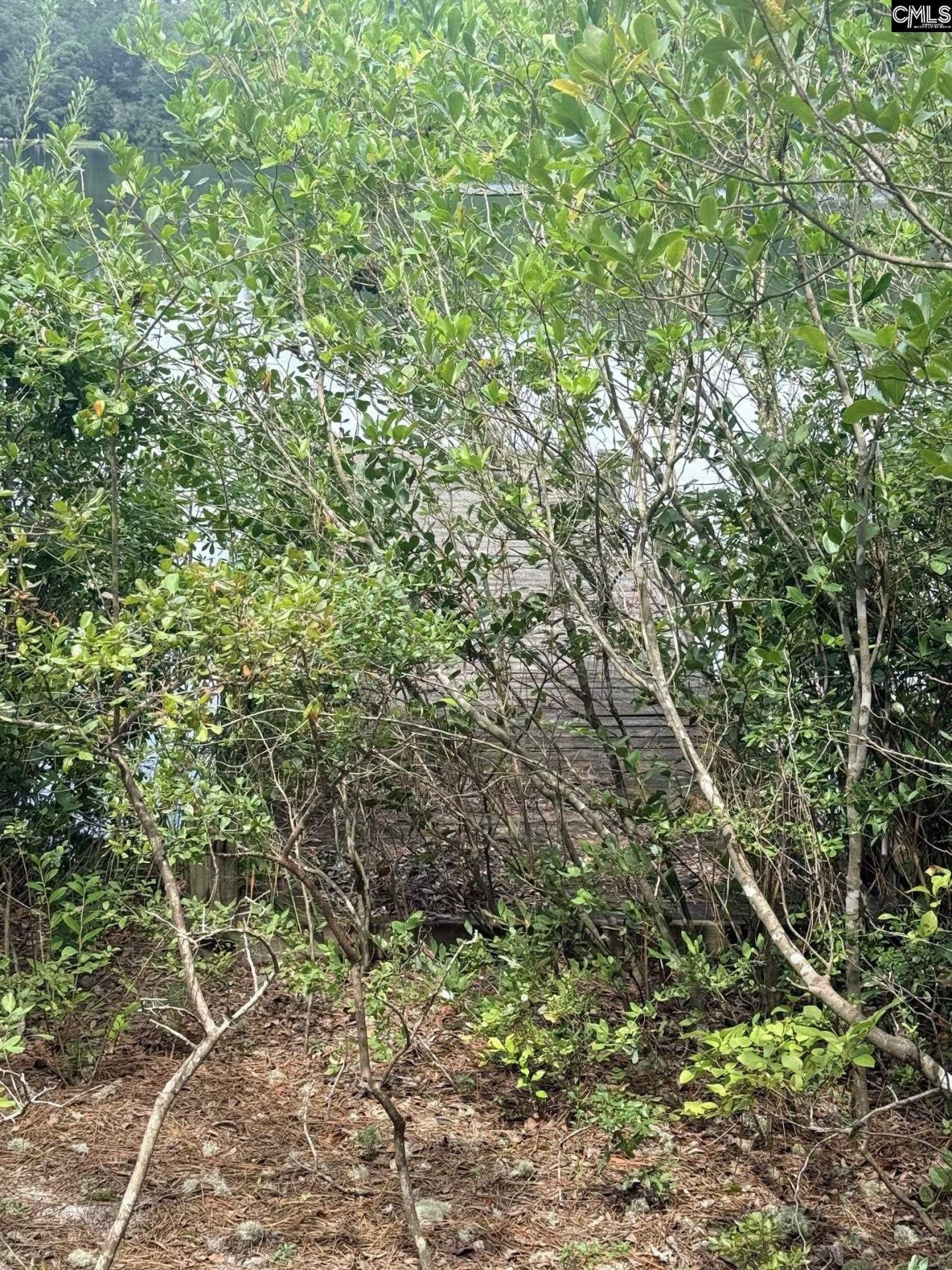 731 Edisto Lake Road  Photo 7