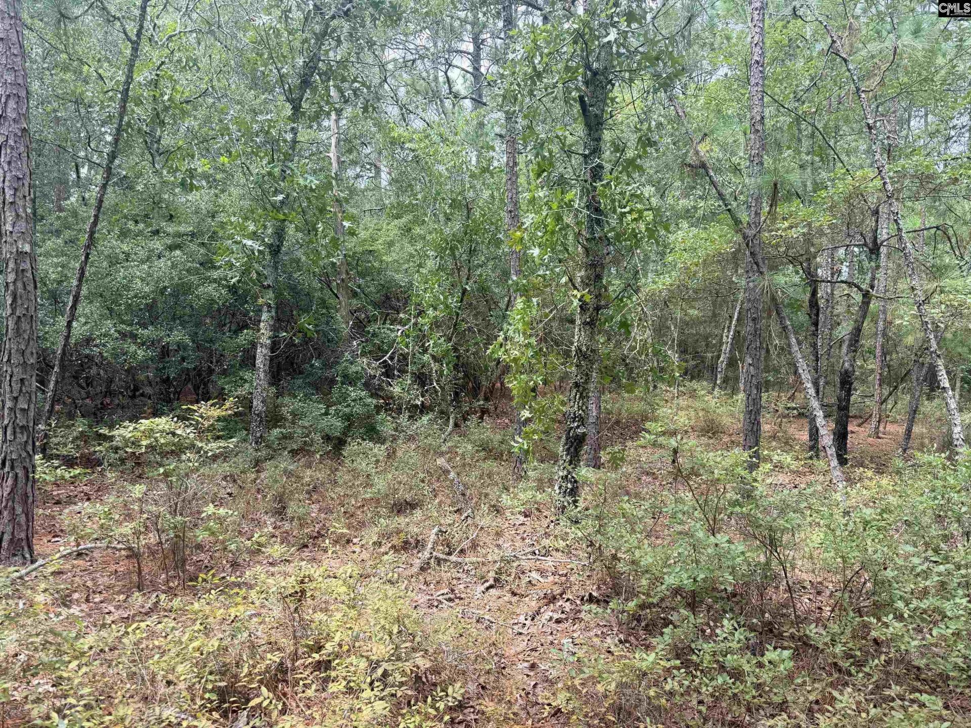 731 Edisto Lake Road  Photo 8