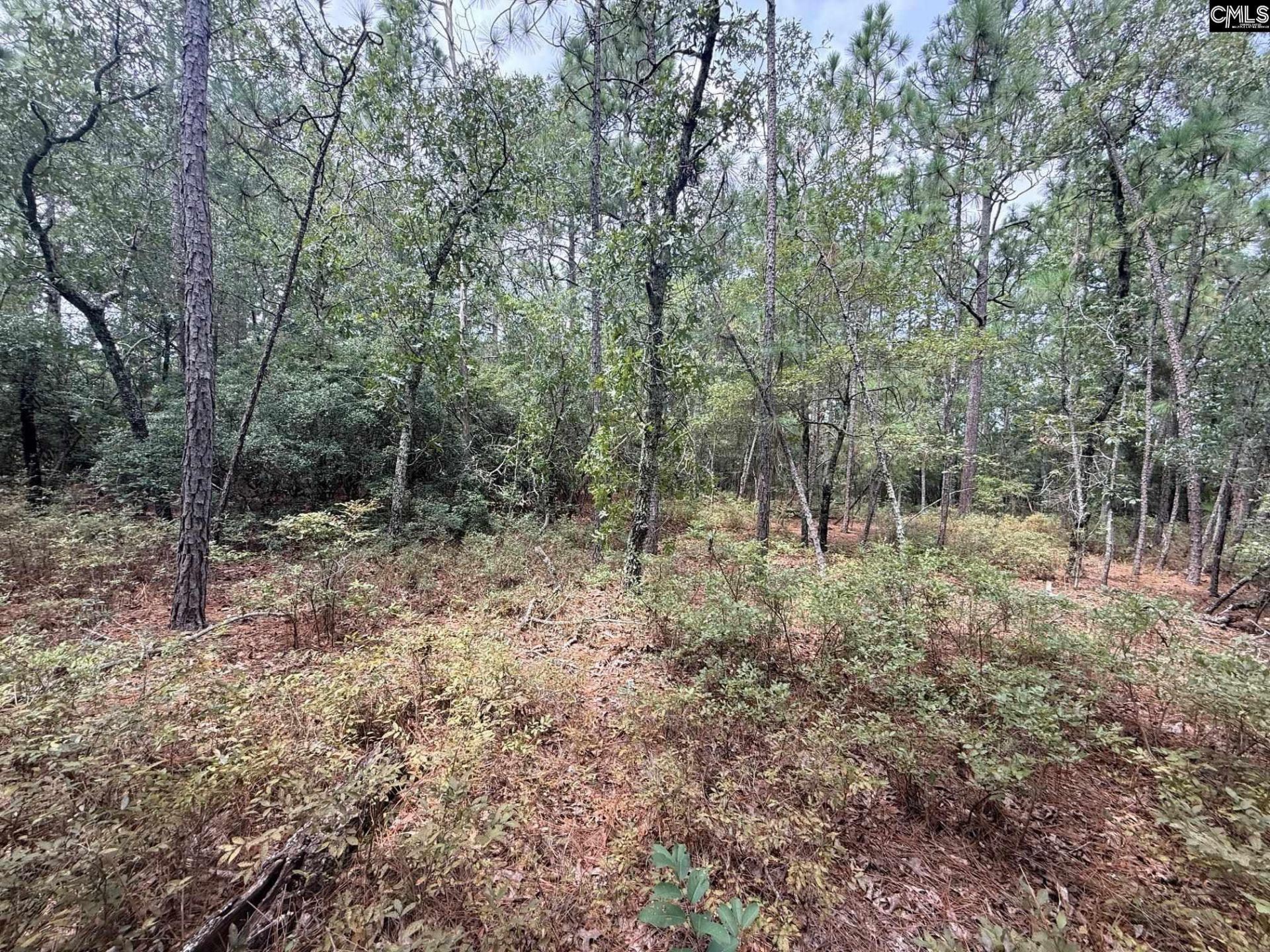731 Edisto Lake Road  Photo 9