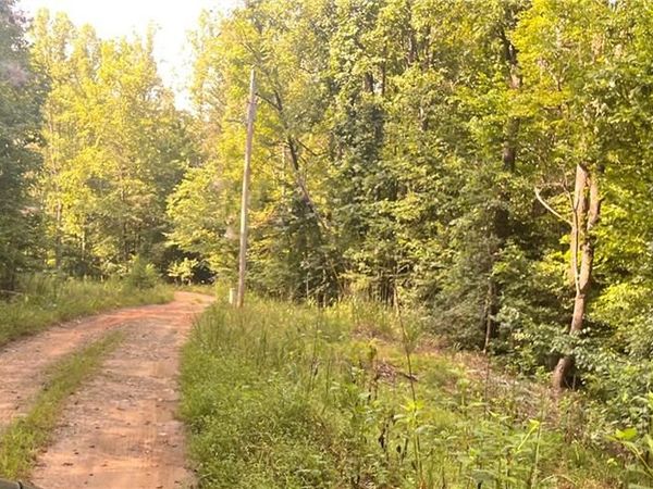 1170 Timber Ridge Road, Westfield, NC 27053