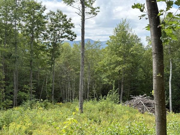 Perkins Hill Road, Unit 2, Alexandria, NH 03222