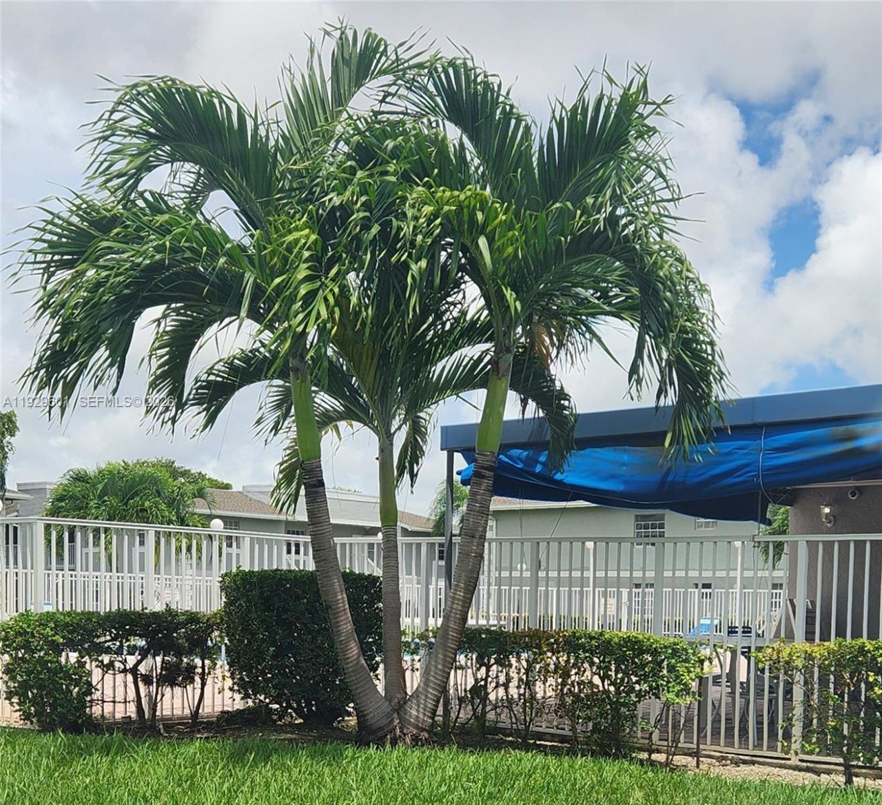 466 NE 210th Cir Ter , Unit 201-10, Miami, FL 33179 Photo